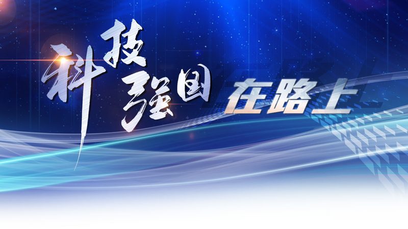 企业搜索安全配置的常见认知偏差与实测验证
