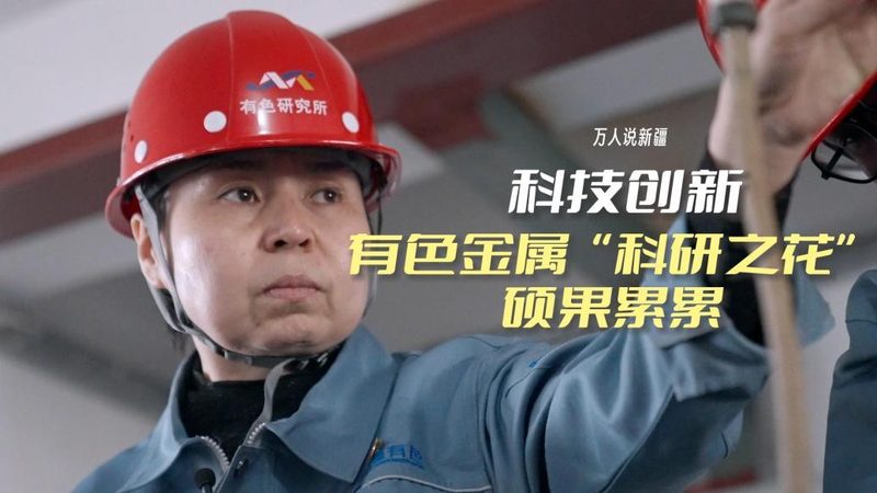 系统集成商与生产厂家直销的差异化考量**